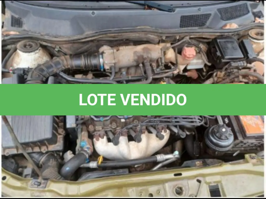 LOTE 081