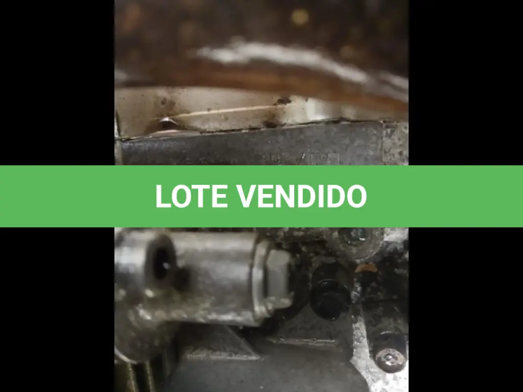 LOTE 031