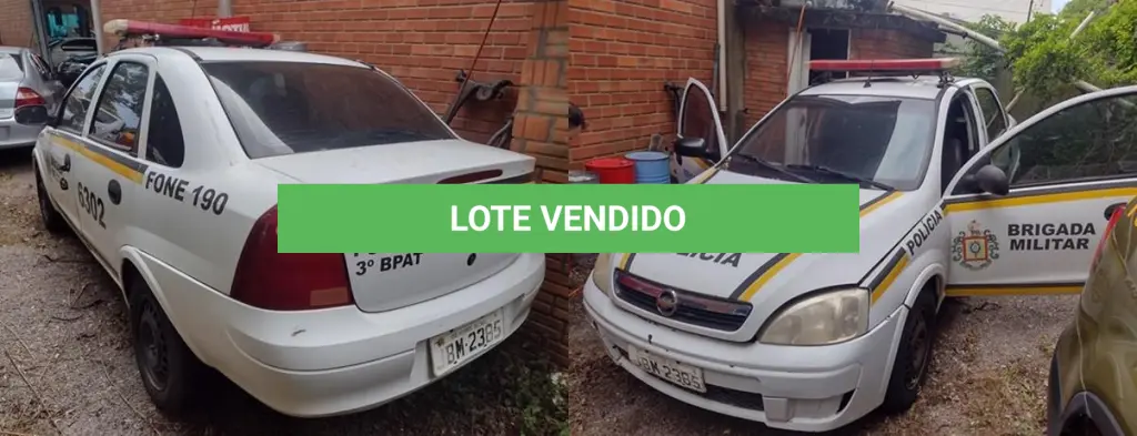 LOTE 131