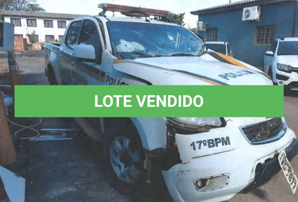 LOTE 119