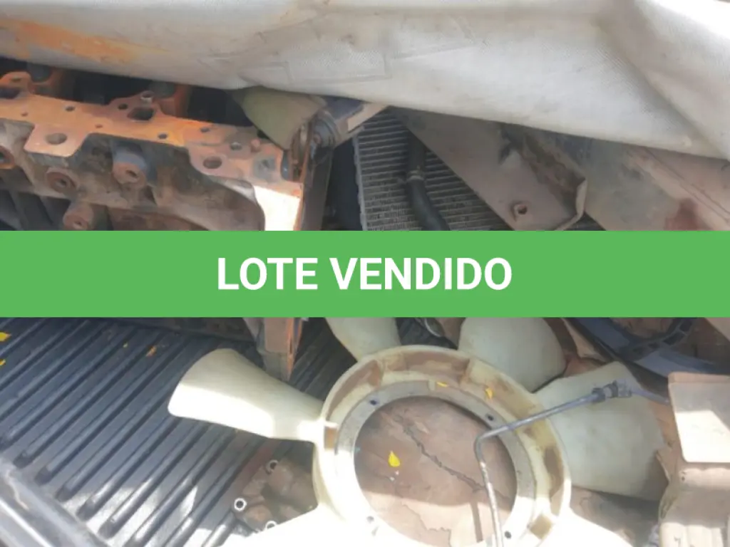 LOTE 033