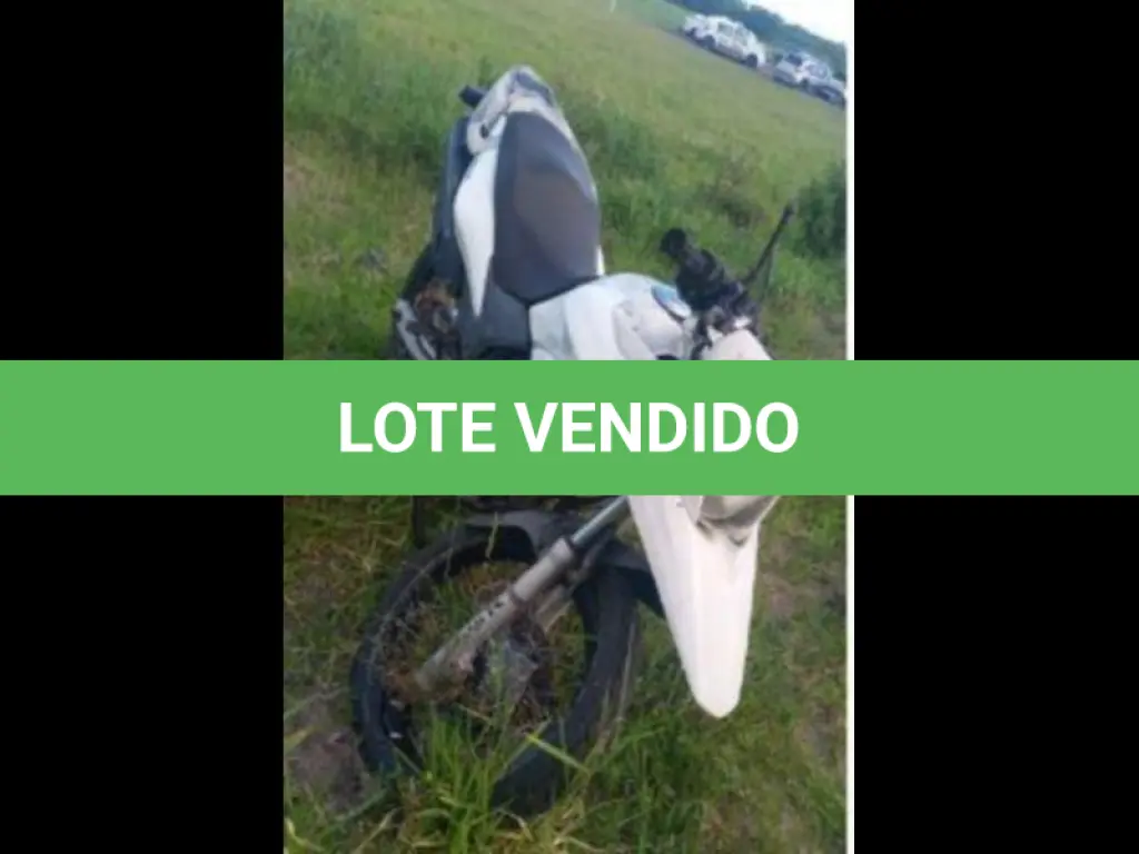 LOTE 084