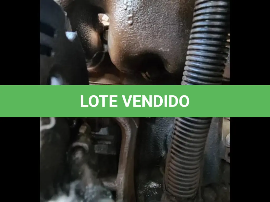 LOTE 065