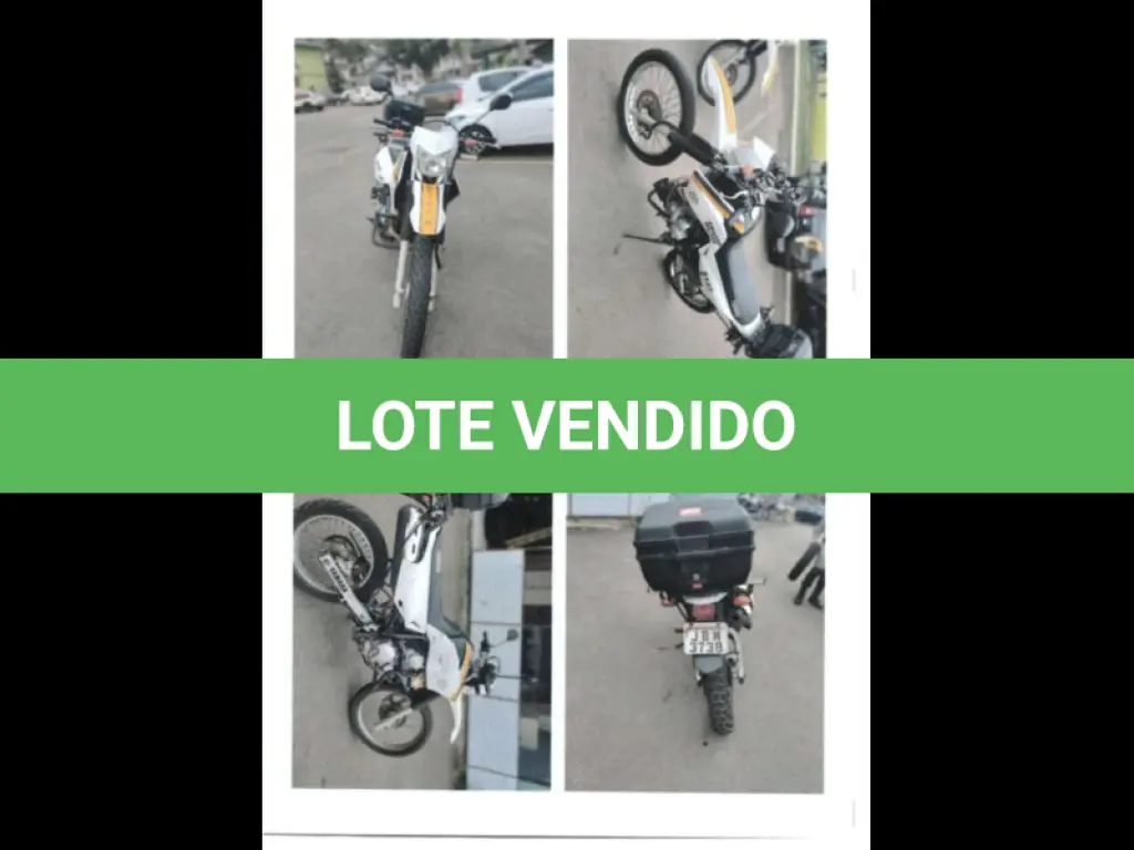 LOTE 131
