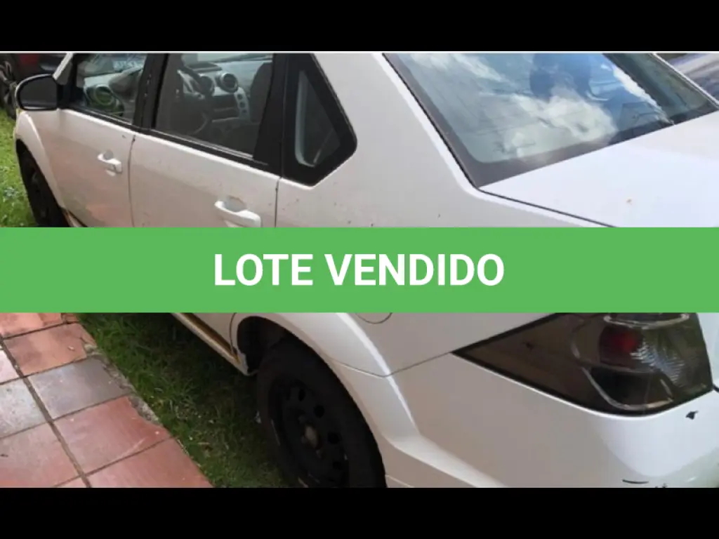 LOTE 146
