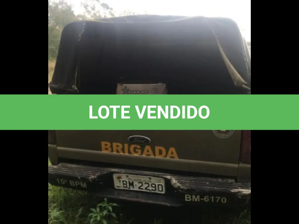 LOTE 201