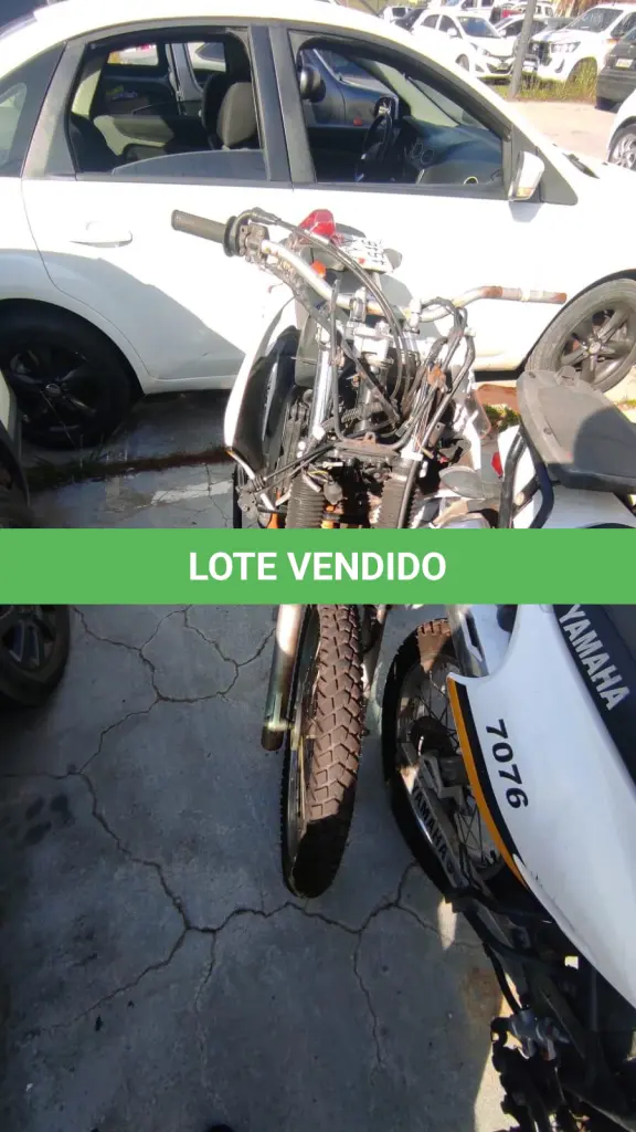 LOTE 173