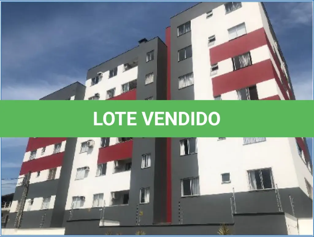 LOTE 244