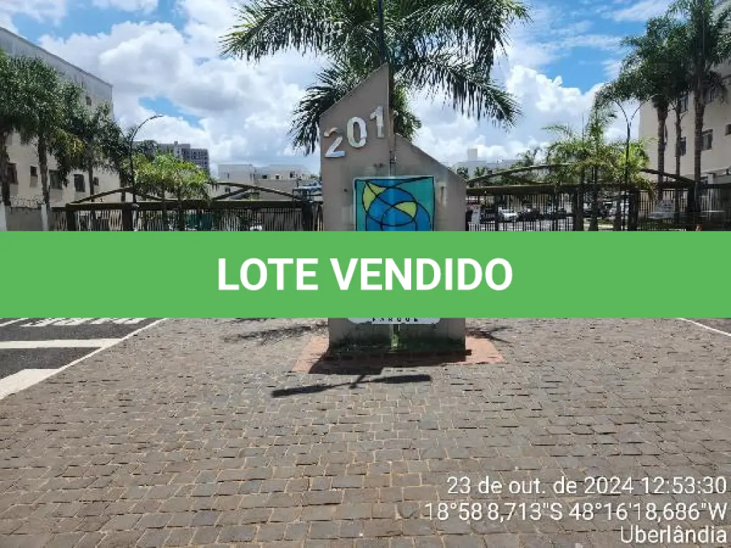 LOTE 115