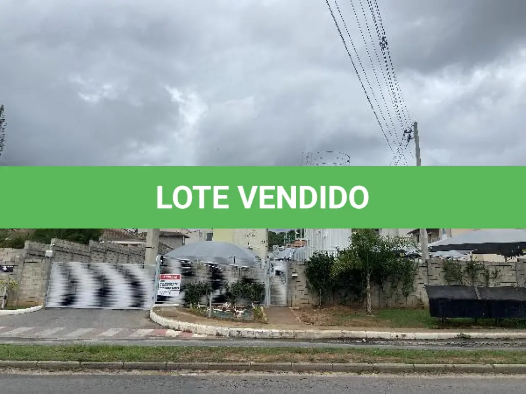 LOTE 105