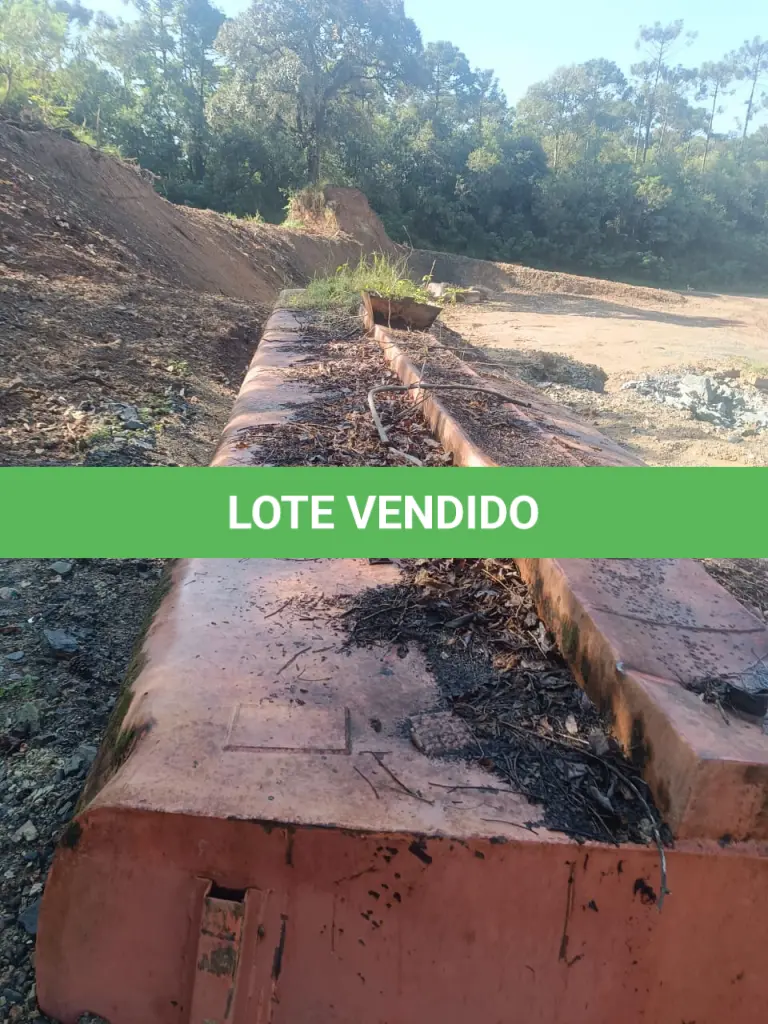 LOTE 036