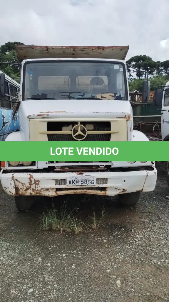 LOTE 041