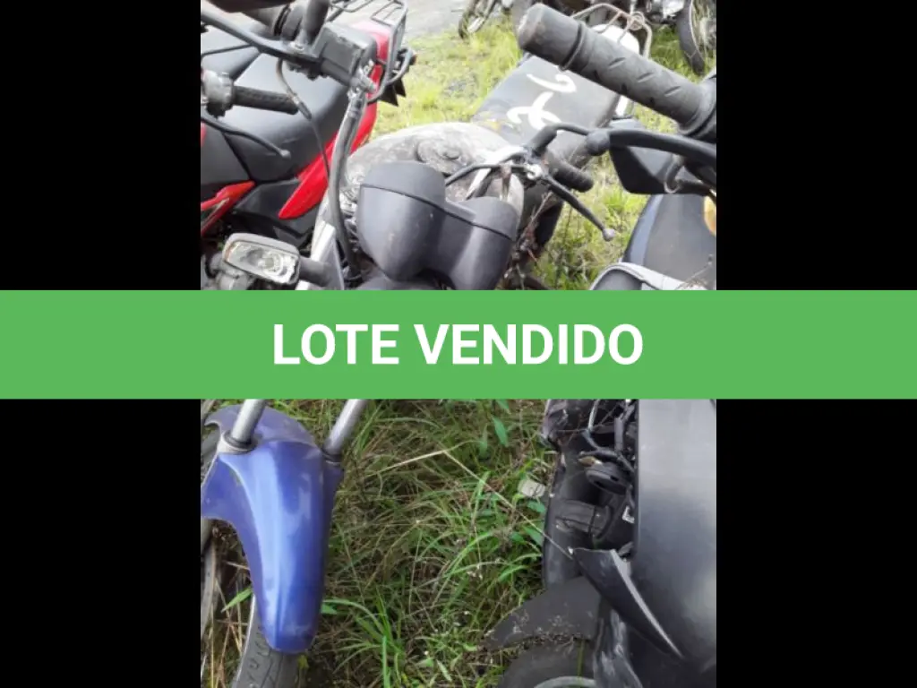 LOTE 0105