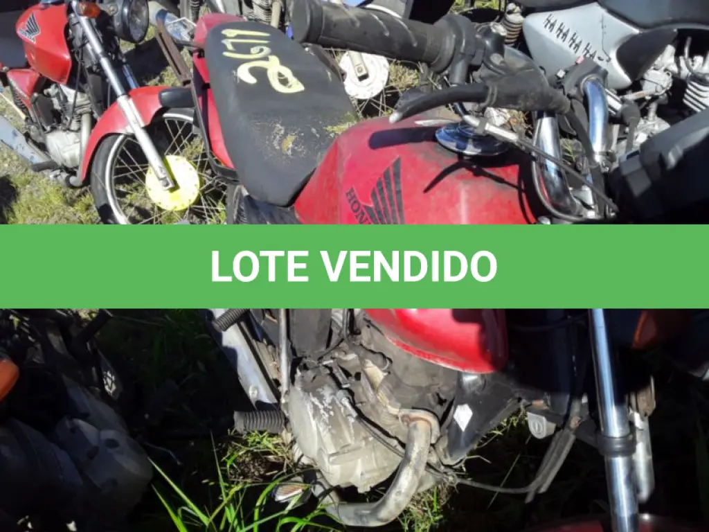 LOTE 0091