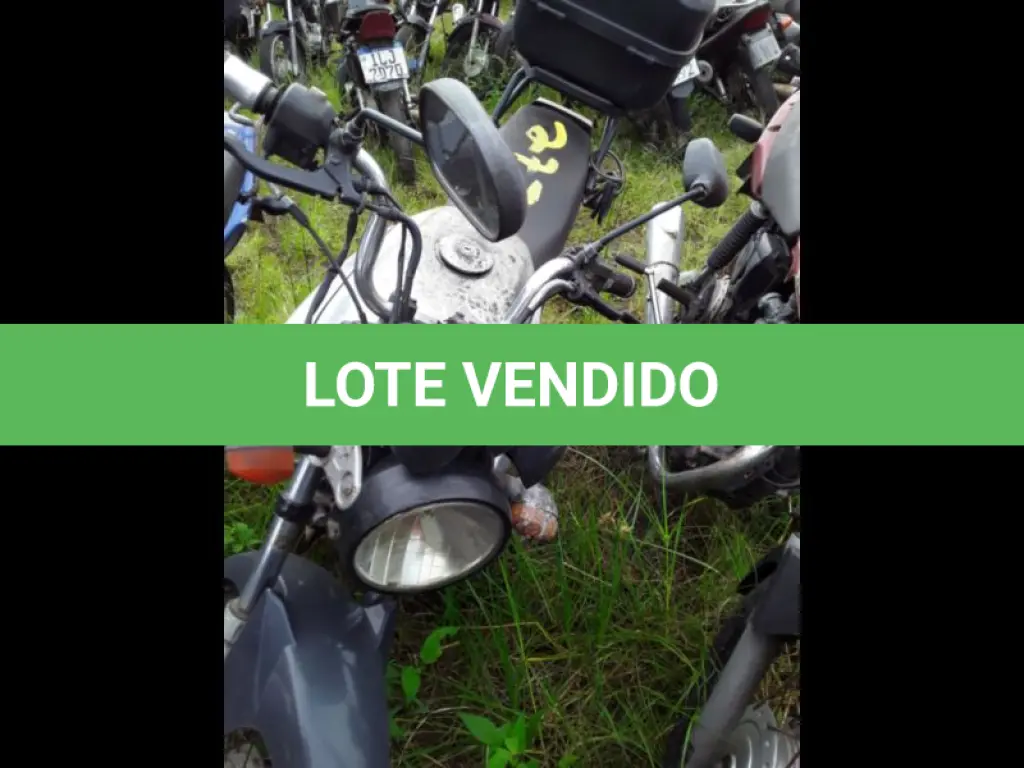 LOTE 0110
