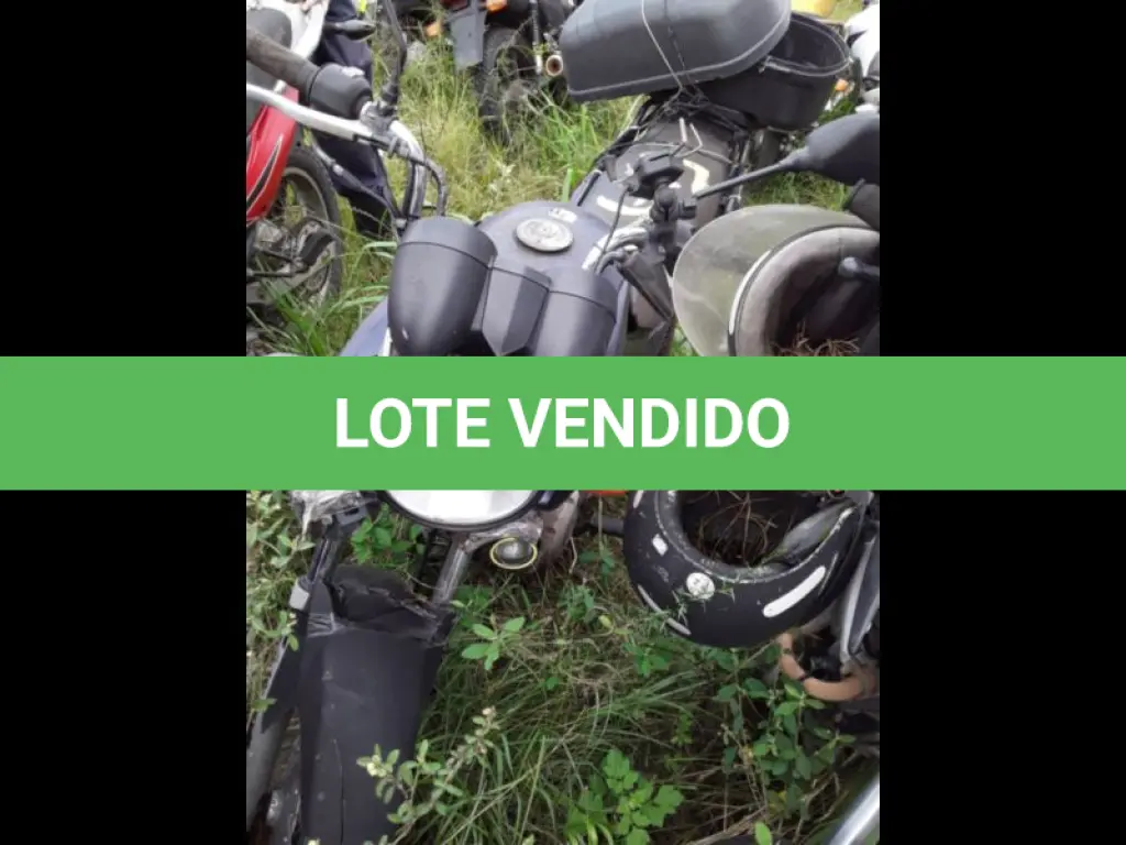 LOTE 0102