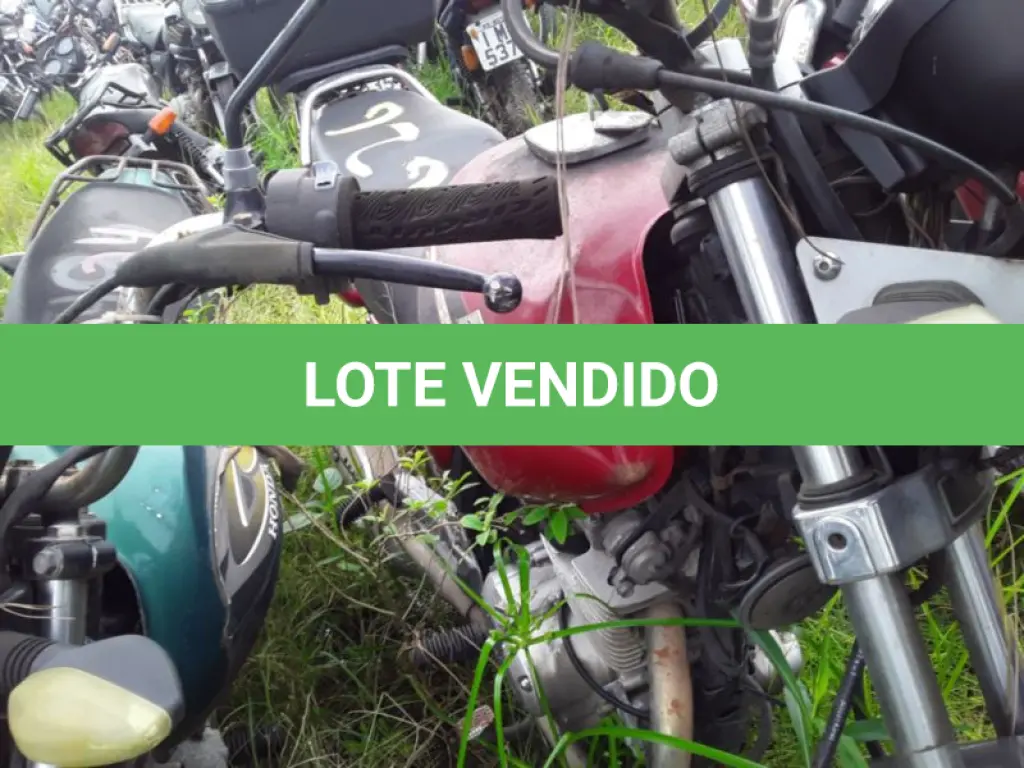 LOTE 0095