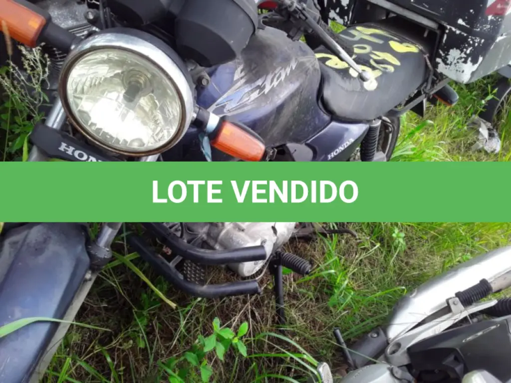 LOTE 0099