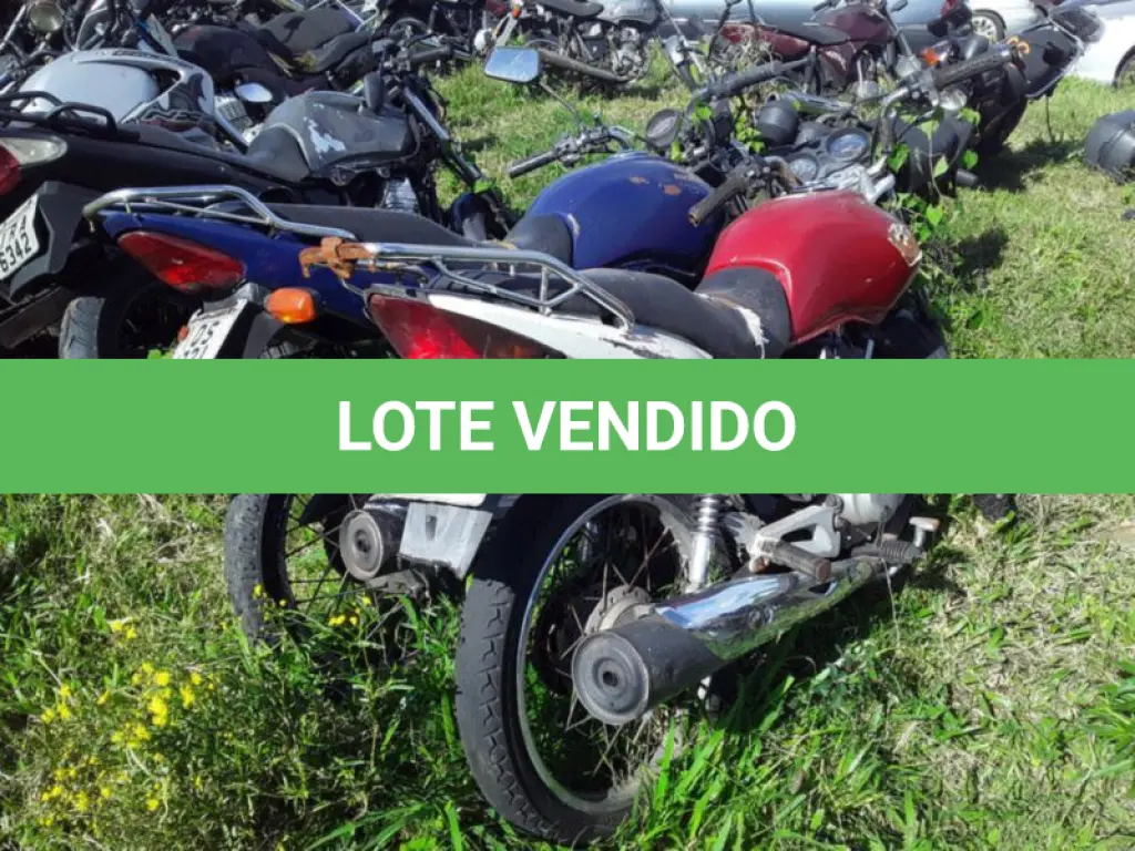 LOTE 0127