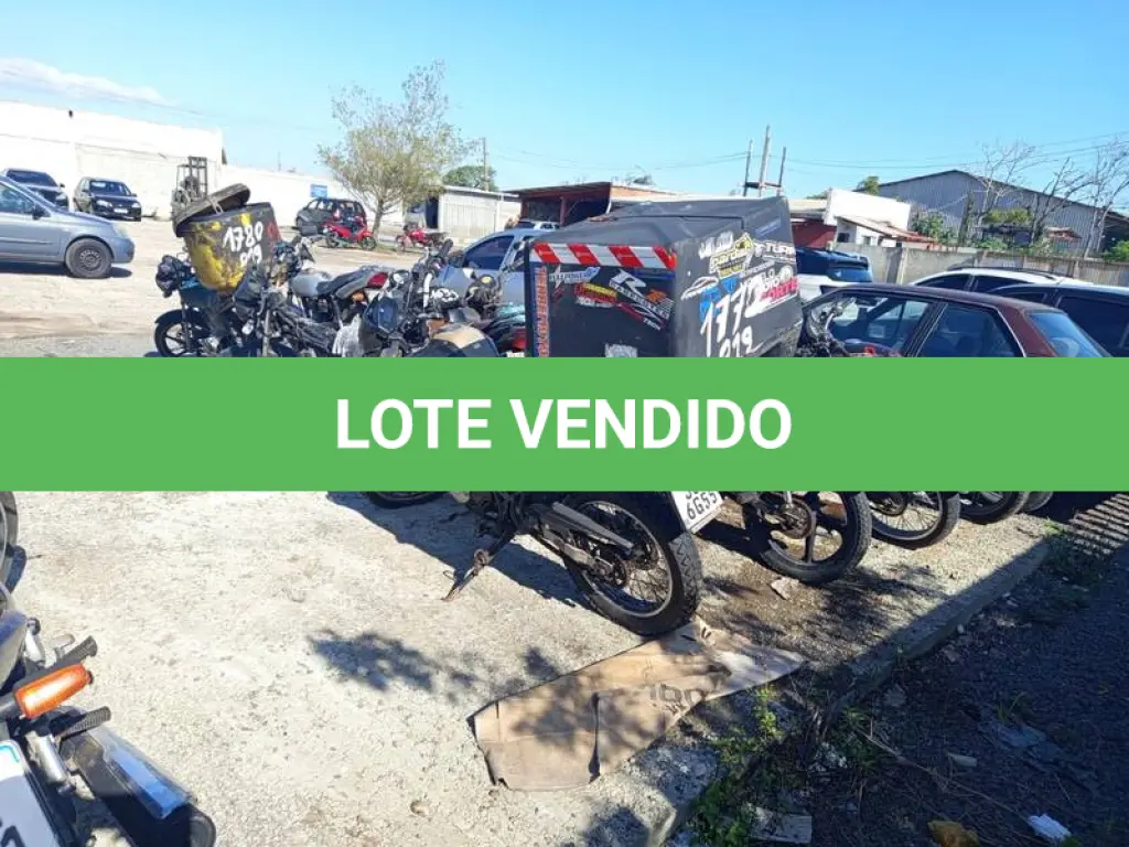 LOTE 0001