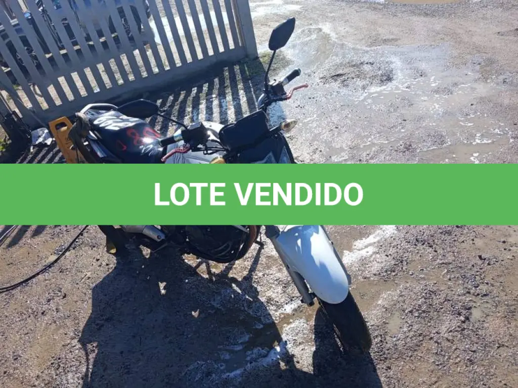 LOTE 0008