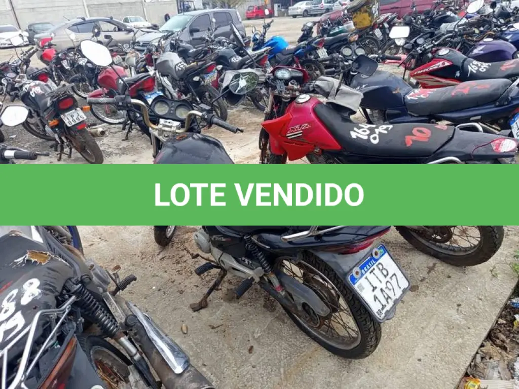 LOTE 0011