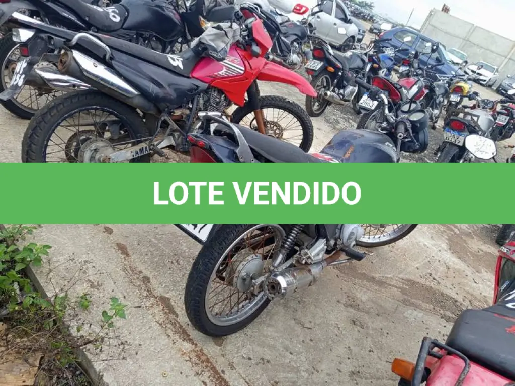 LOTE 0029