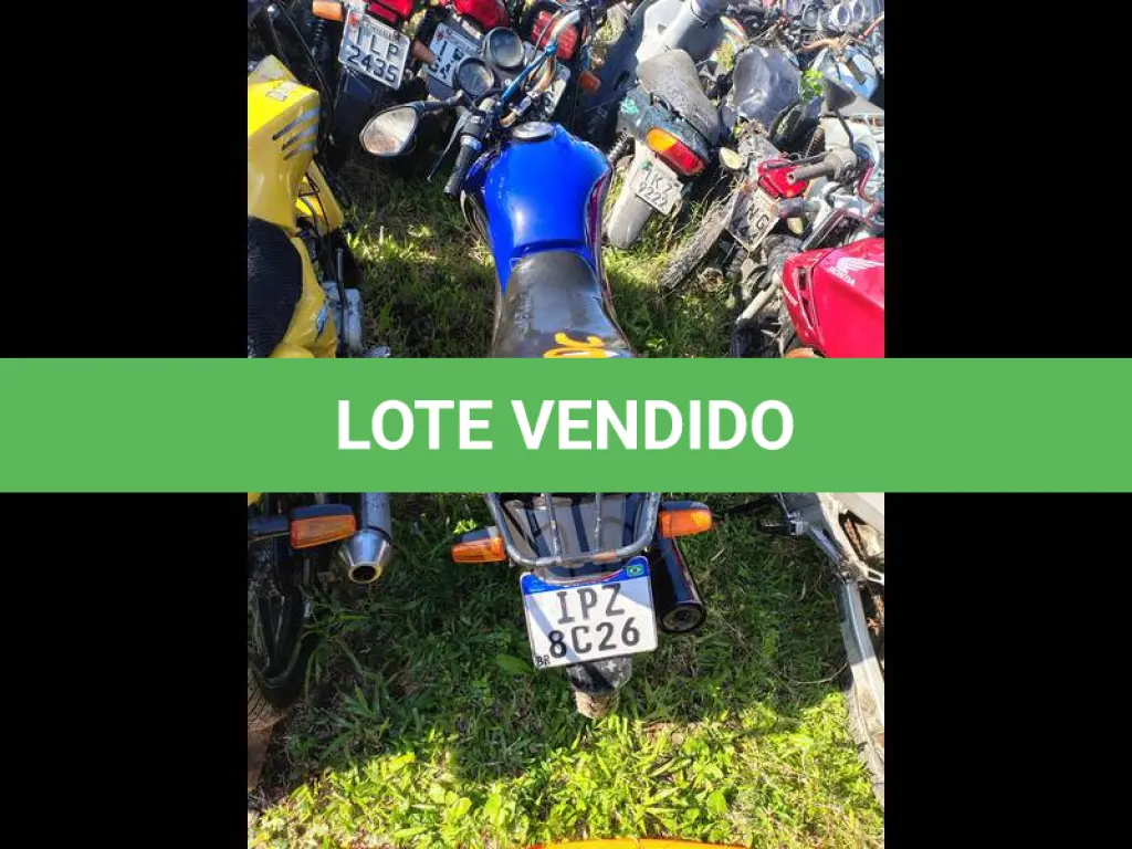 LOTE 0163
