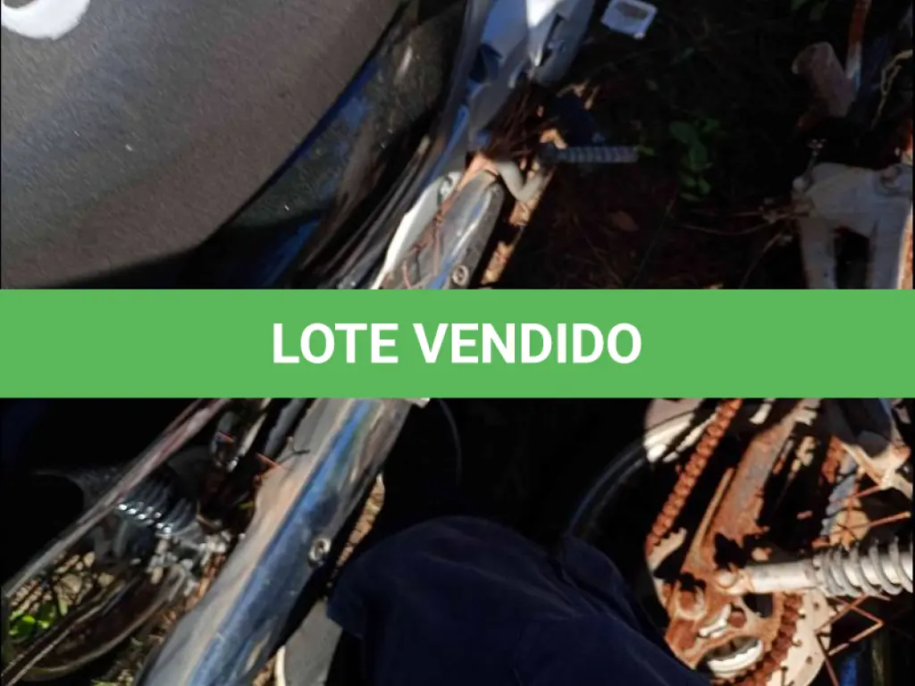 LOTE 0090
