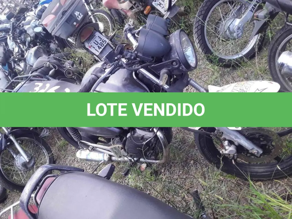 LOTE 0077