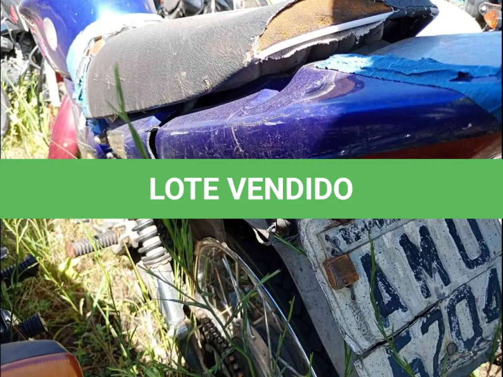 LOTE 0088