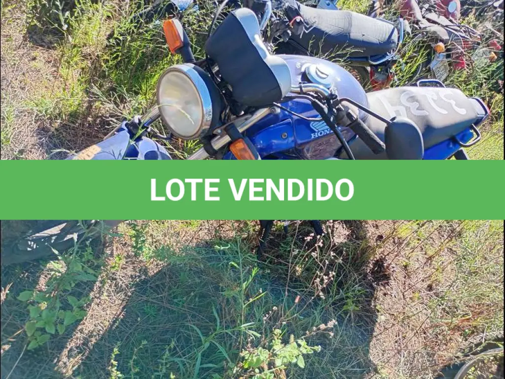 LOTE 0071