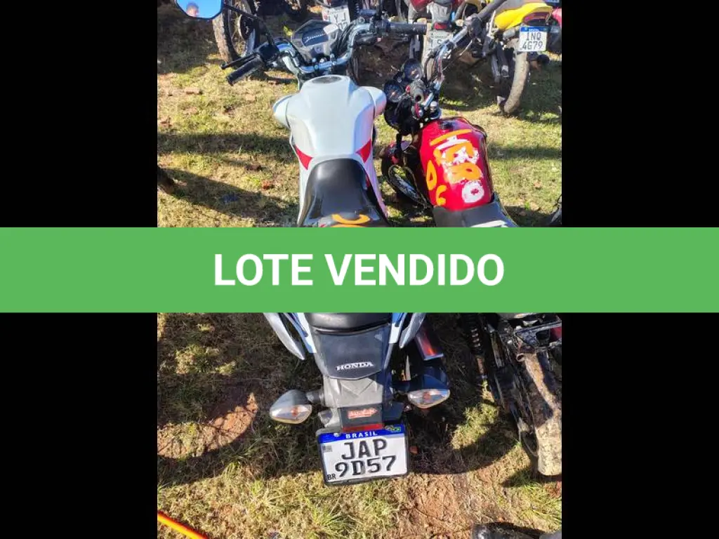 LOTE 0165