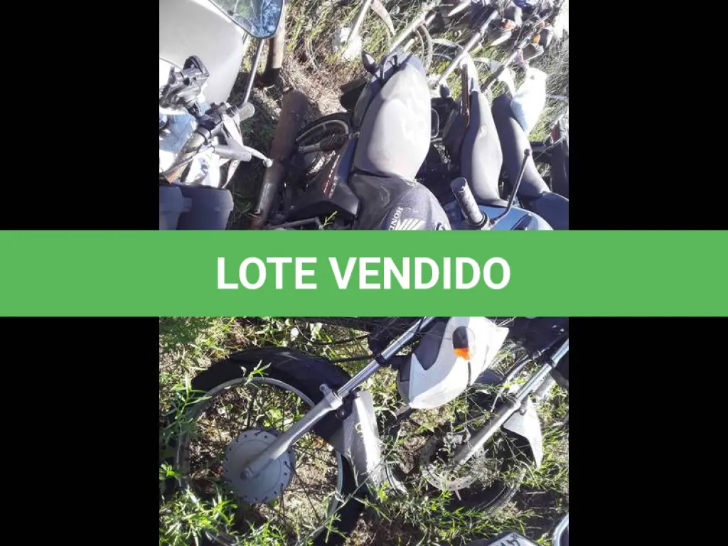 LOTE 0095