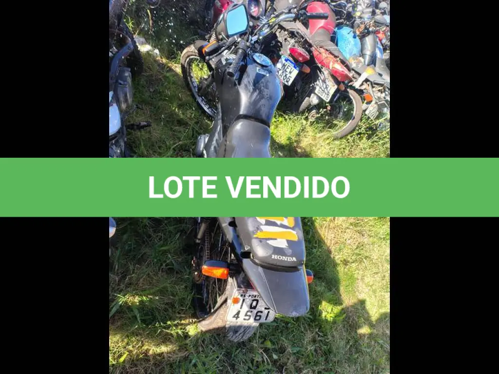 LOTE 0151