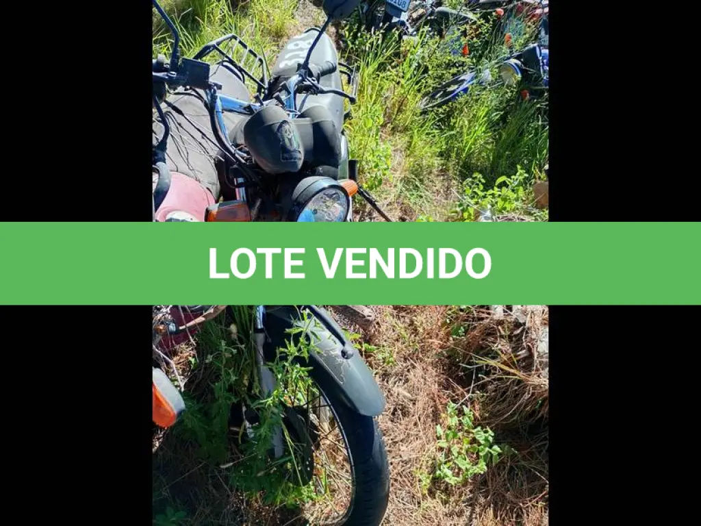LOTE 0081