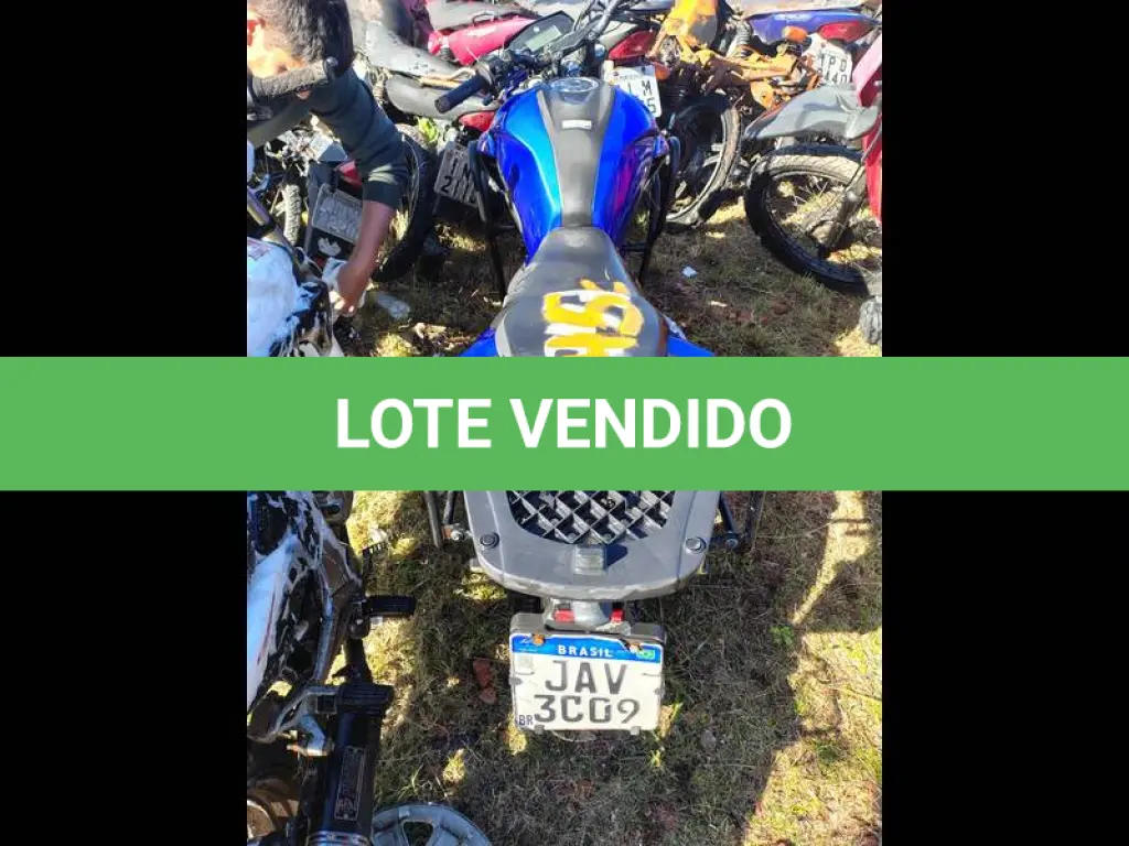 LOTE 0145