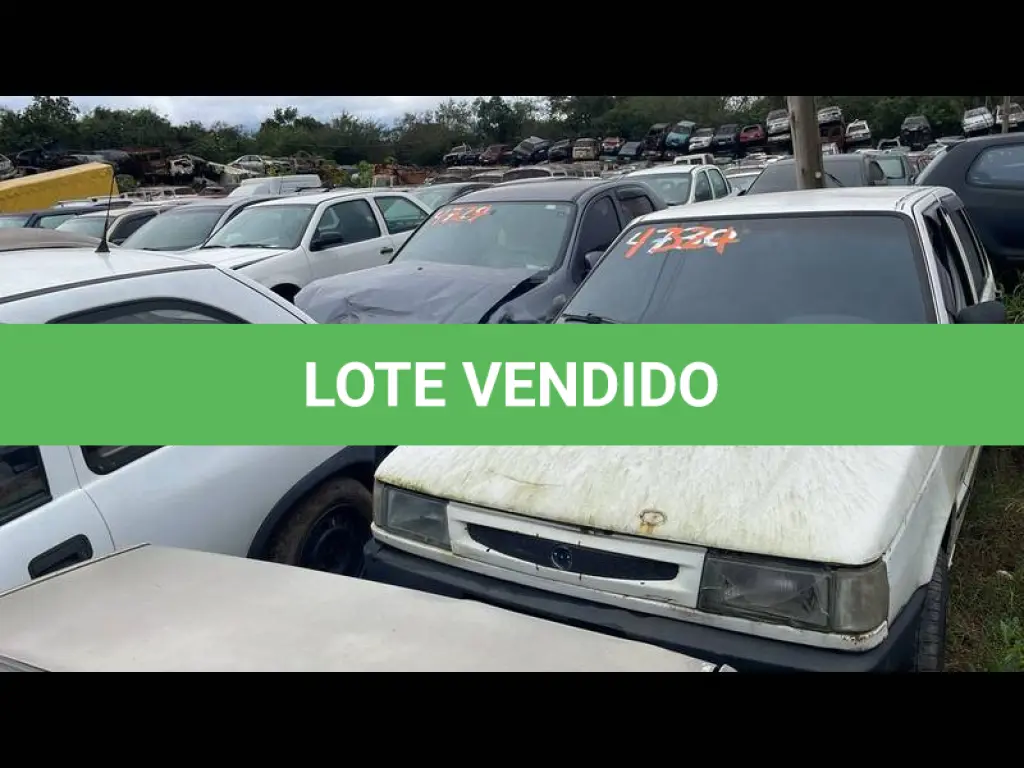 LOTE 0132
