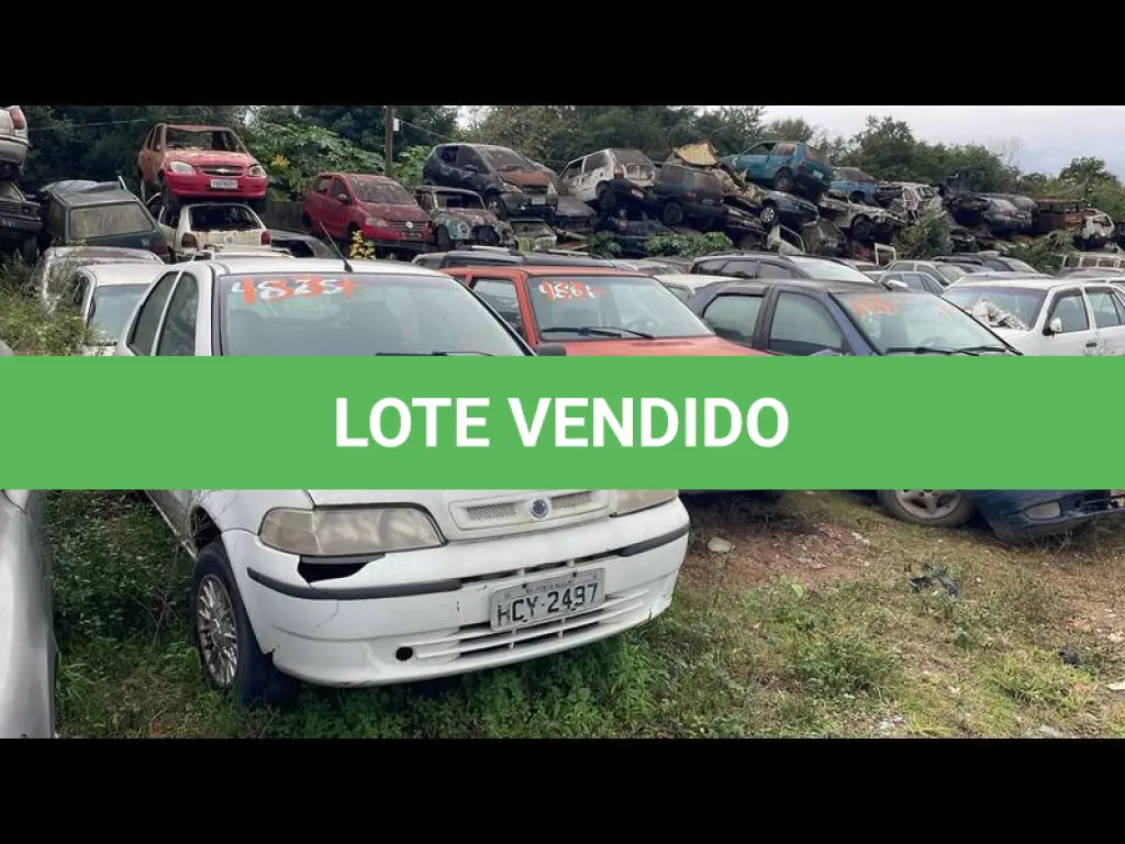 LOTE 0133
