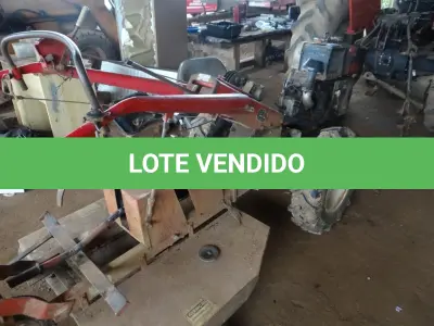 LOTE 008 - TOBATA ZT18