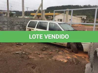LOTE 005 - VEÍCULO IPANEMA