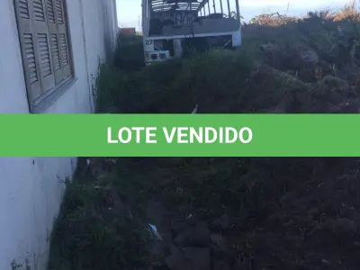 LOTE 004 - SUCATA - ÔNIBUS MB OF 1318, placas IDQ 7123, ano e modelo 1992