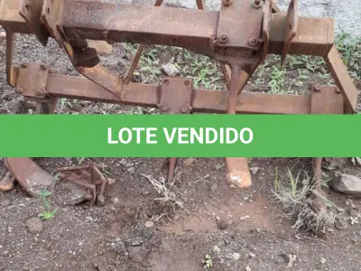 LOTE 011 - IMPLEMENTO AGRÍCOLA – GANCHO CINCO DENTES