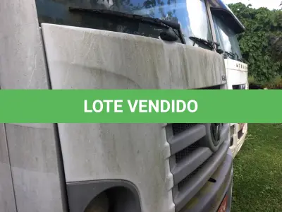 LOTE 001 - UM VEÍCULO VW 13.180, CNM, ANO 2009