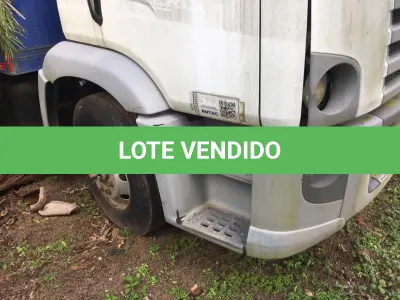 LOTE 001 - UM VEÍCULO VW 13.180, CNM, ANO 2009