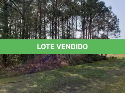 LOTE 001 - Terreno Urbano no Pinus Park, Lote 37 da Quadra 20 em Arroio do Sal /RS