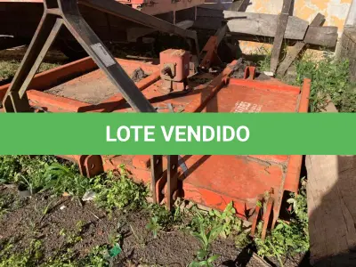 LOTE 005 - ROÇADEIRA