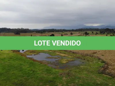 LOTE 001 - Uma Gleba de Terras, de 53,73 Hectares, na Rondinha, em Arroio do Sal/RS