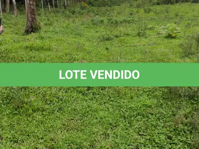 LOTE 020 - UM TERRENO RURAL, COM 5.000 METROS QUADRADOS, EM BOM JESUS/RS