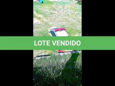 LOTE 040 - I/FORD FOCUS 2.0L FC